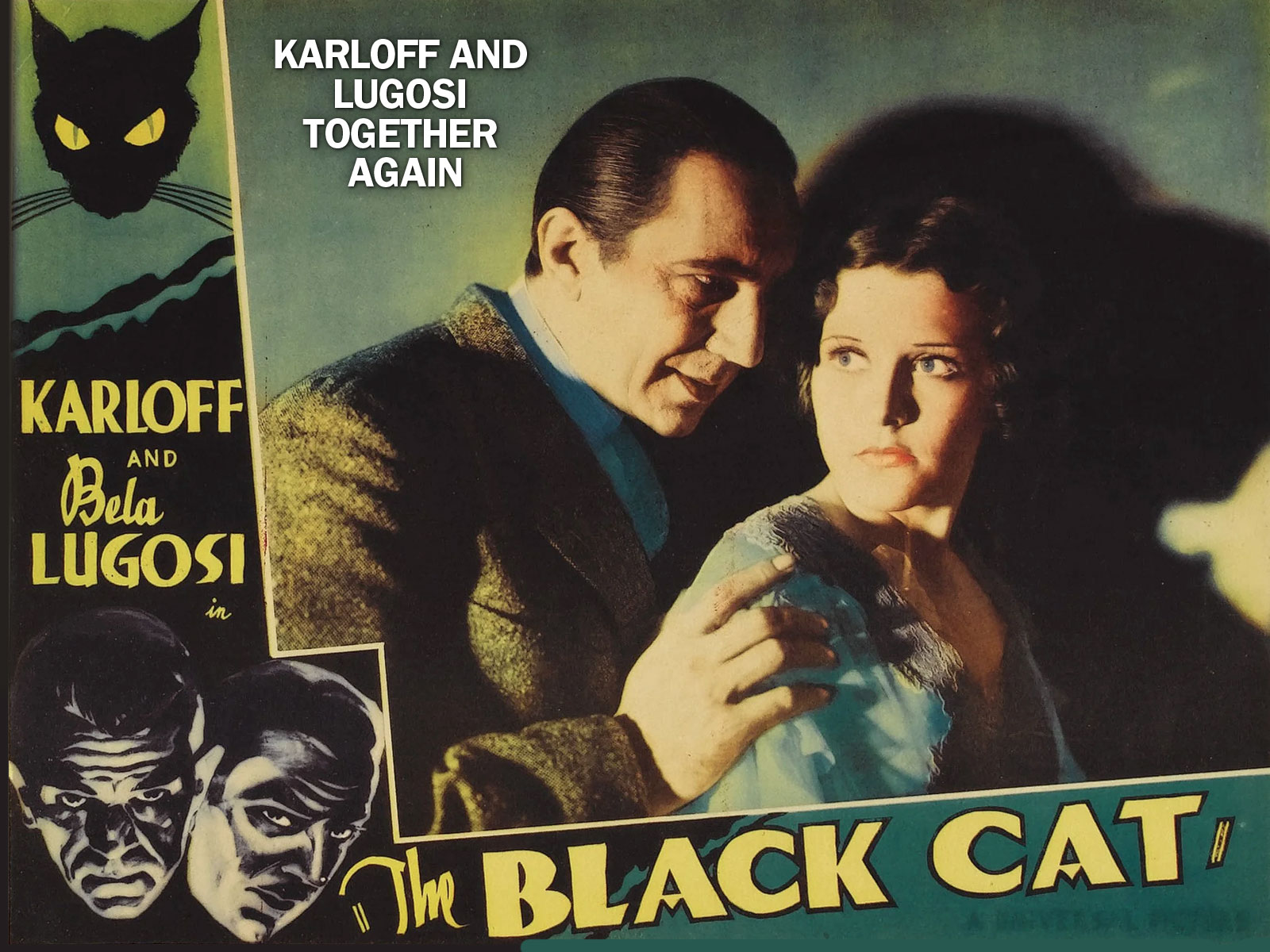 
The Black Cat 
            